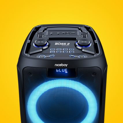 Niceboy PARTY Boss 2 - LED Juhtmevaba kõlar mikrofoniga ja akupank funktsioon 200W/4500 mAh + kaugjuhtimispult