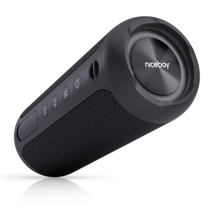 Niceboy Polaris - LED Juhtmevaba kõlar mikrofoniga 30W/4000 mAh IPX7 must
