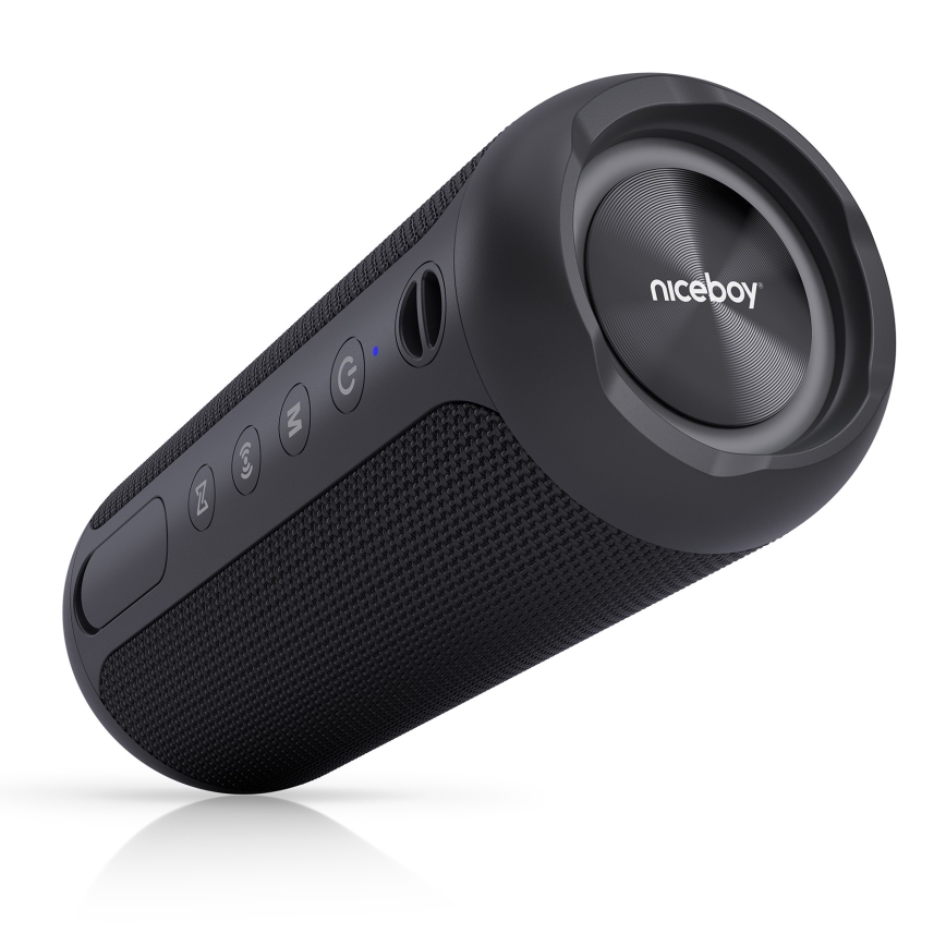 Niceboy Polaris - LED Juhtmevaba kõlar mikrofoniga 30W/4000 mAh IPX7 must