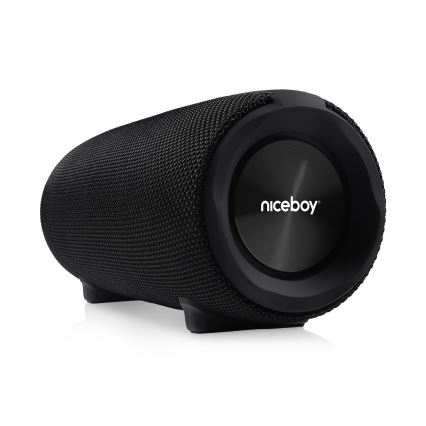 Niceboy Titan 4 - LED Juhtmevaba kõlar mikrofoniga ja akupank funktsioon 50W/4000 mAh IPX7 must