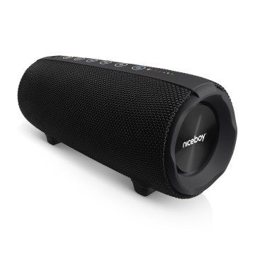 Niceboy Titan 4 - LED Juhtmevaba kõlar mikrofoniga ja akupank funktsioon 50W/4000 mAh IPX7 must