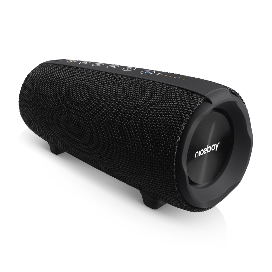 Niceboy Titan 4 - LED Juhtmevaba kõlar mikrofoniga ja akupank funktsioon 50W/4000 mAh IPX7 must