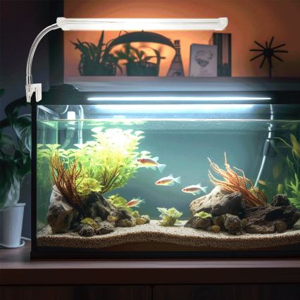 Nobleza - LED Akvaariumi valgustus LED/8W/230V IPX7 30 cm