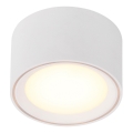 Nordlux - LED hämardatav punktvalgusti FALLON LED/5,5W/230V valge