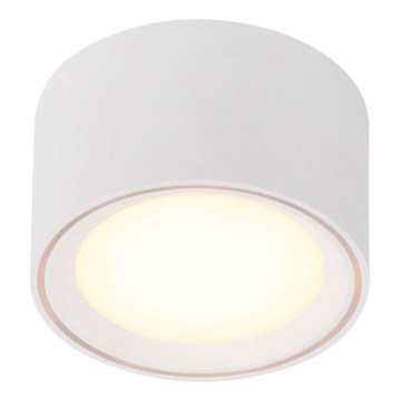 Nordlux - LED hämardatav punktvalgusti FALLON LED/5,5W/230V valge