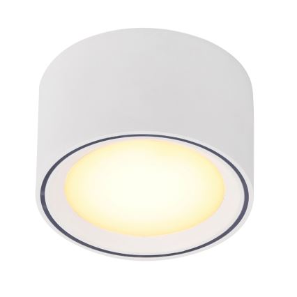 Nordlux - LED hämardatav punktvalgusti FALLON LED/5,5W/230V valge