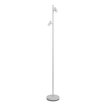 Nordlux - LED Hämardatav puutetundlik põrandalamp OMARI 2xLED/3,2W/230V valge