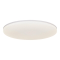 Nordlux - LED Laevalgusti VIC LED/32W/230V IP21