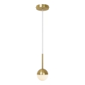 Nordlux - Ripplamp kaabliga CONTINA 1xG9/5W/230V messing