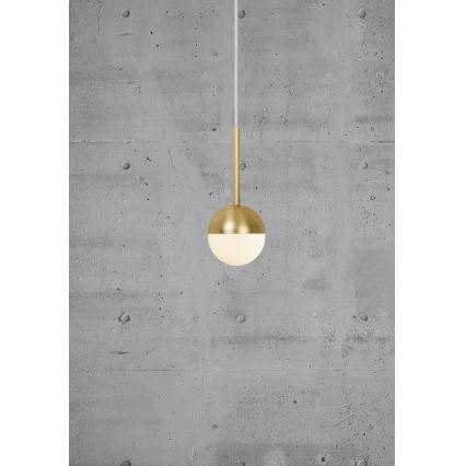 Nordlux - Ripplamp kaabliga CONTINA 1xG9/5W/230V messing