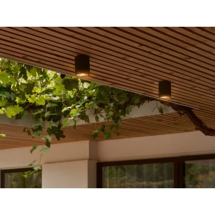 Nordlux - Väli laevalgusti KYKLOP 1xGU10/15W/230V IP54 must