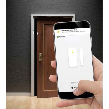 Nutikas akna- ja ukseandur 2xAAA Wi-fi Tuya