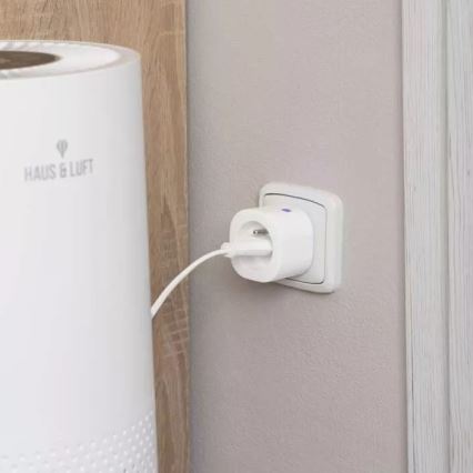 Nutikas pistikupesa GoSmart 3680W/230V/16A Wi-Fi Tuya