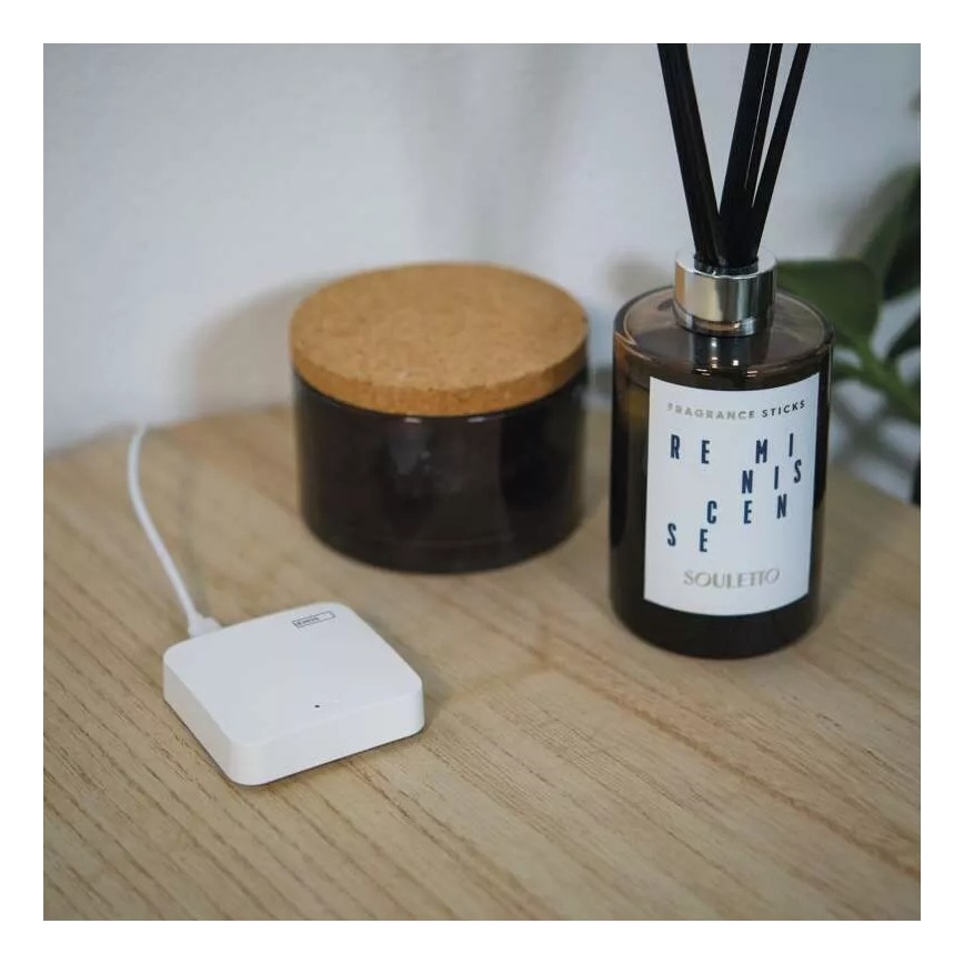 Nutikas sild GoSmart ZigBee 3.0 5V Wi-Fi
