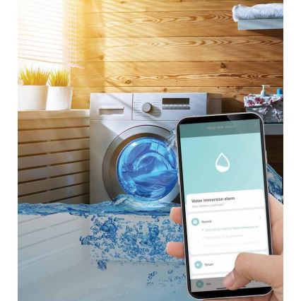 Nutikas veelekke andur 3xAAA Wi-Fi Tuya