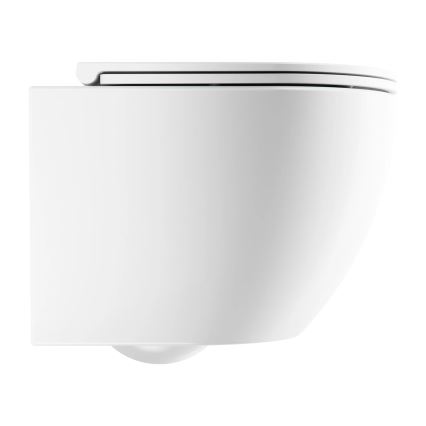 OMNIRES OTTAWASPXMWBM - Seinale paigaldatav WC-pott SoftClose-istmega OTTAWA, keraamiline/mattvalge