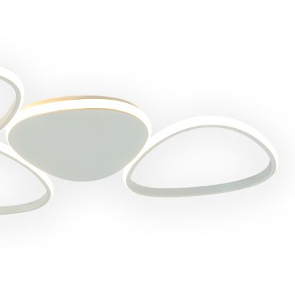 ONLI - LED Laevalgusti ROMEO LED/48W/230V 4000K valge