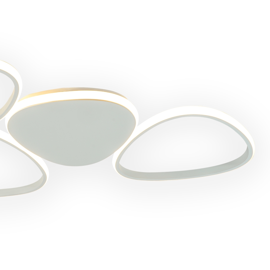 ONLI - LED Laevalgusti ROMEO LED/48W/230V 4000K valge