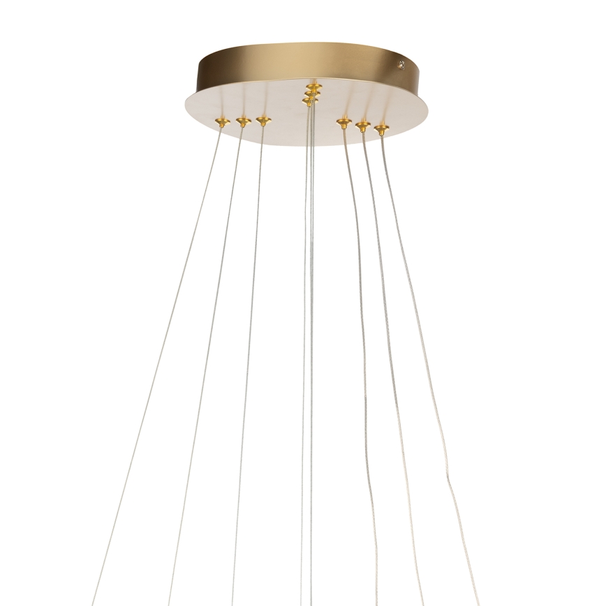 ONLI - LED-lühter juhtmel NOELIA LED/40W/230V kuldne