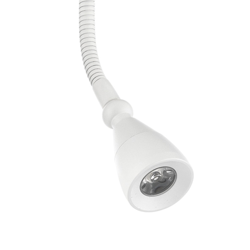 ONLI - LED Paindlik väike lamp LEXI LED/1W/230V 4000K valge