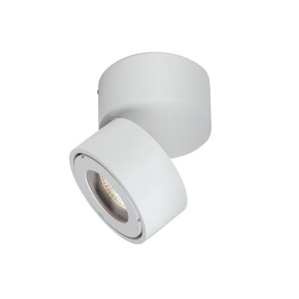 LED Hämardatav vannituba Kohtvalgusti HARVEY LED/15W/230V IP65 valge