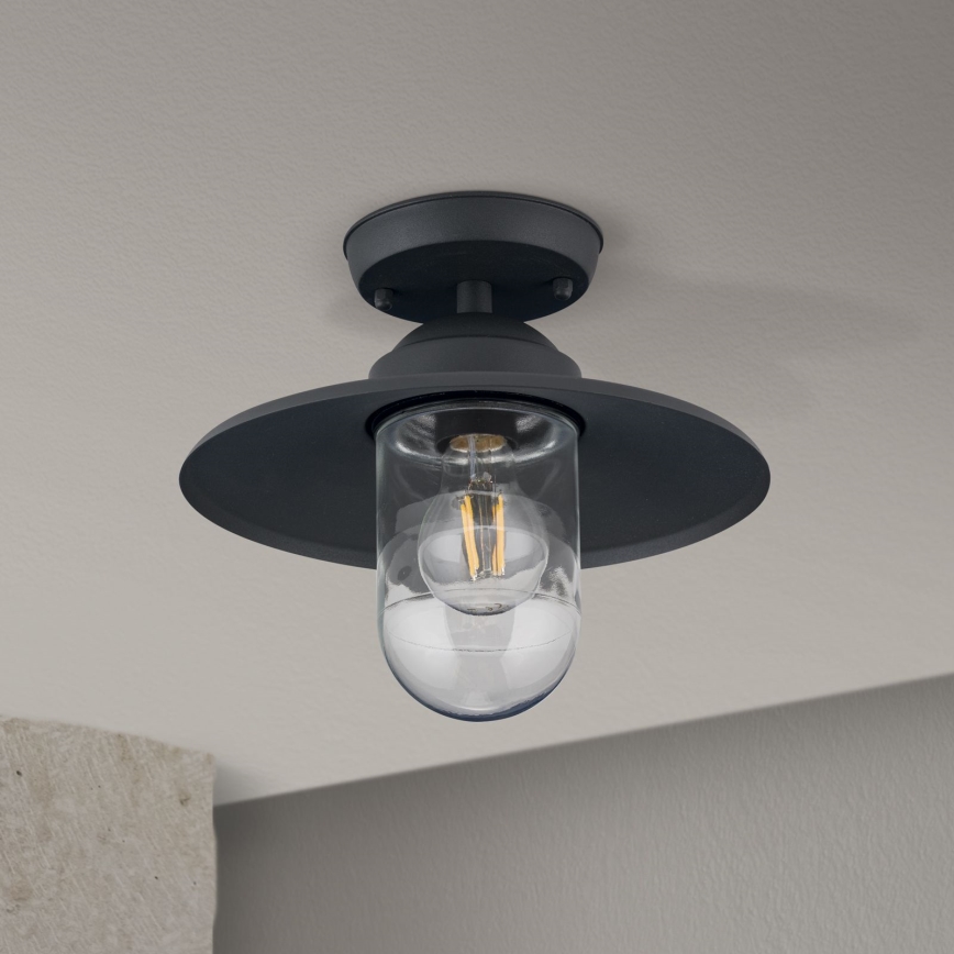 Pinnale kinnitatav välilühter EDWARD 1xE27/60W/230V IP44 must