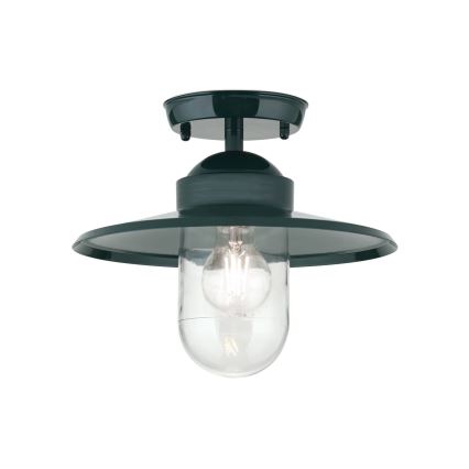 Pinnale kinnitatav välilühter EDWARD 1xE27/60W/230V IP44 roheline