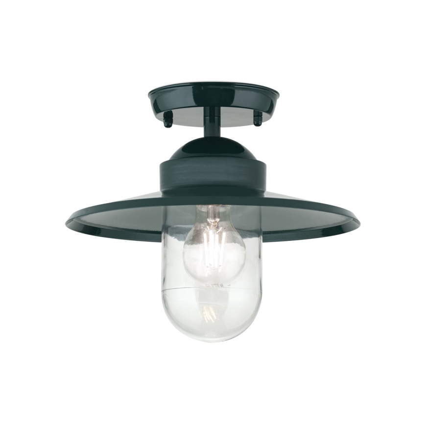 Pinnale kinnitatav välilühter EDWARD 1xE27/60W/230V IP44 roheline