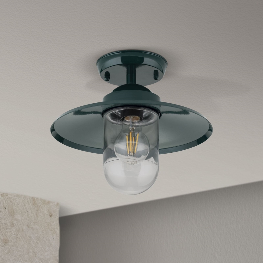Pinnale kinnitatav välilühter EDWARD 1xE27/60W/230V IP44 roheline