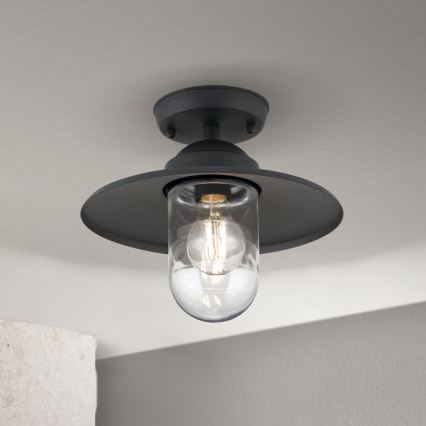 Välisvalgusti EDWARD — pinnapealne laelamp, 1xE27/60W/230V, IP44, antratsiit