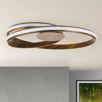 LED Hämardatav laevalgusti CIRCUS LED/30W/230V pruun/paatina