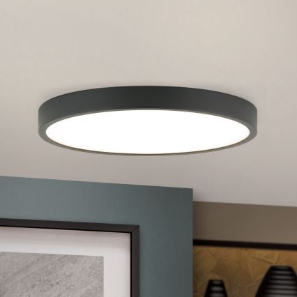 LED Laevalgusti BULLY LED/24W/230V d. 24 cm must