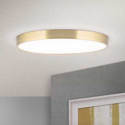 LED Laevalgusti BULLY LED/28W/230V d. 28 cm kuldne