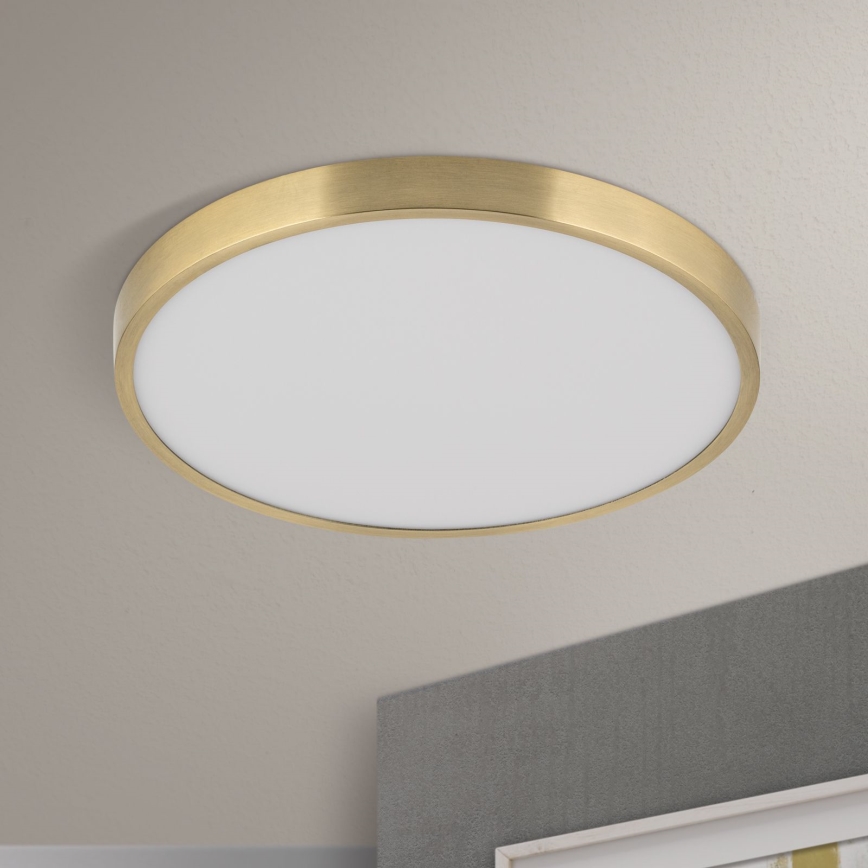 LED Laevalgusti BULLY LED/28W/230V d. 28 cm kuldne