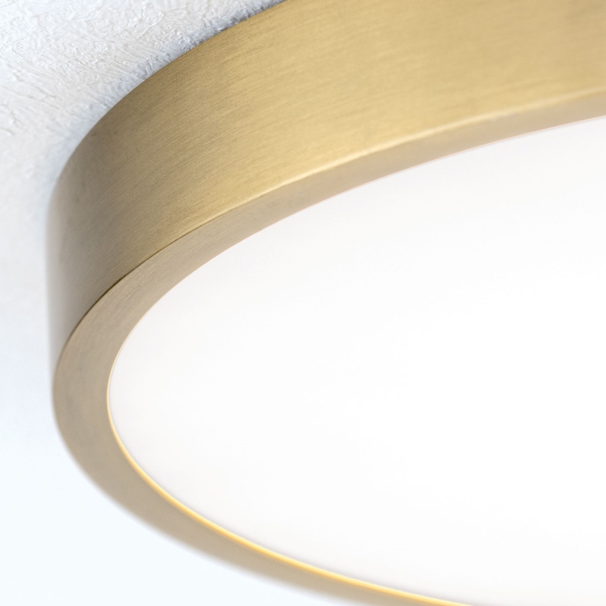 LED Laevalgusti BULLY LED/28W/230V d. 28 cm kuldne