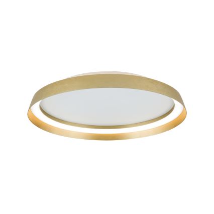 LED Hämardatav laevalgusti MANTA LED/38W/230V 2700/3000/4000K d. 45 cm kuldne