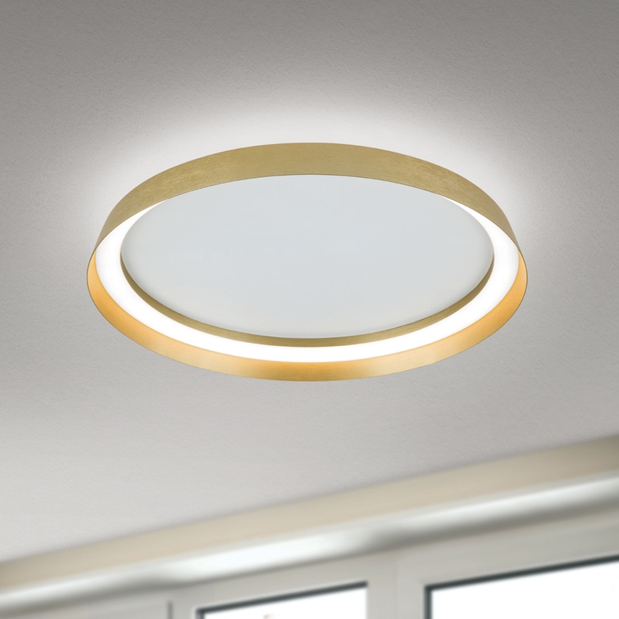 LED Hämardatav laevalgusti MANTA LED/38W/230V 2700/3000/4000K d. 45 cm kuldne