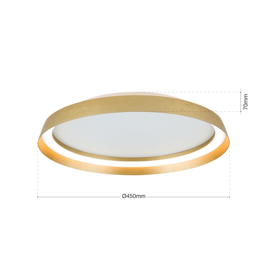 LED Hämardatav laevalgusti MANTA LED/38W/230V 2700/3000/4000K d. 45 cm kuldne