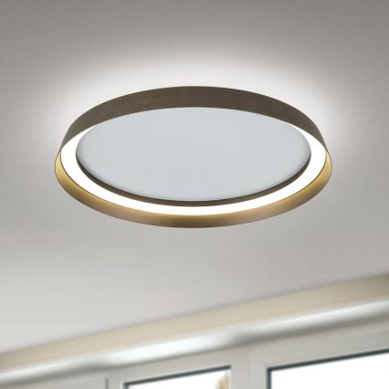 LED Hämardatav laevalgusti MANTA LED/38W/230V 2700/3000/4000K d. 45 cm pruun