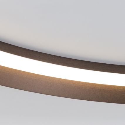 LED Hämardatav laevalgusti MANTA LED/38W/230V 2700/3000/4000K d. 45 cm pruun