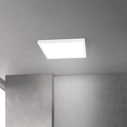 Hämardatav LED-laevalgusti DISC LED/30W/230V 2700/3000/4000K 39x39 cm valge