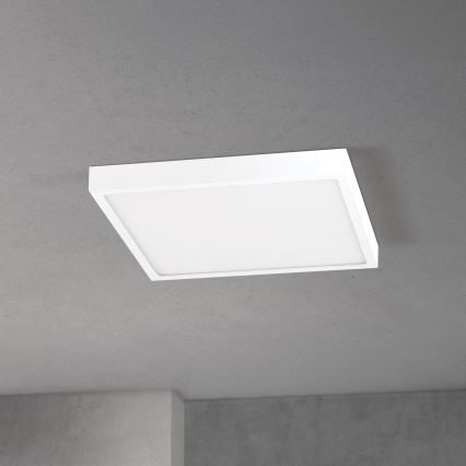 Hämardatav LED-laevalgusti DISC LED/30W/230V 2700/3000/4000K 39x39 cm valge