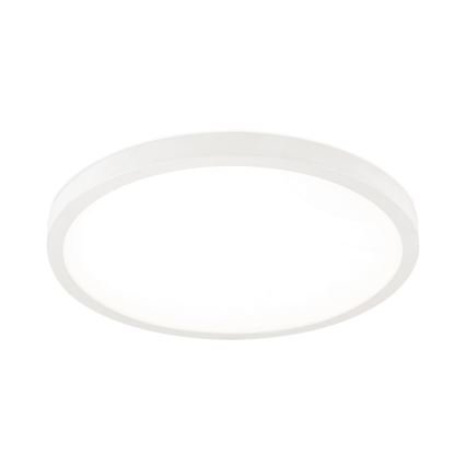 LED hämardatav laelamp DISC LED/30W/230V 2700/3000/4000K läbimõõt 40 cm valge