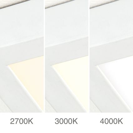 LED hämardatav laelamp DISC LED/46W/230V 2700/3000/4000K 59x59 cm valge