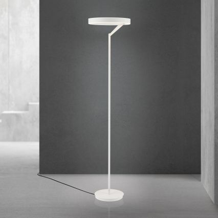 Hämardatav LED-põrandalamp KOLK LED/40W/230V 2700/4000K valge