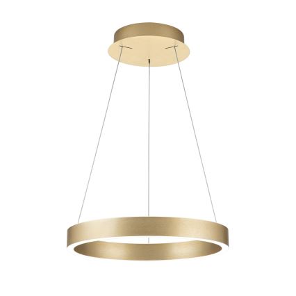 LED hämardatav kaabliga rippvalgusti KOLK LED/40W/230V 2700/3000/4000K läbimõõt 40 cm kuldne