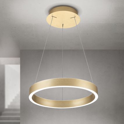 LED hämardatav kaabliga rippvalgusti KOLK LED/40W/230V 2700/3000/4000K läbimõõt 40 cm kuldne