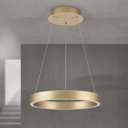 LED hämardatav kaabliga rippvalgusti KOLK LED/40W/230V 2700/3000/4000K läbimõõt 40 cm kuldne