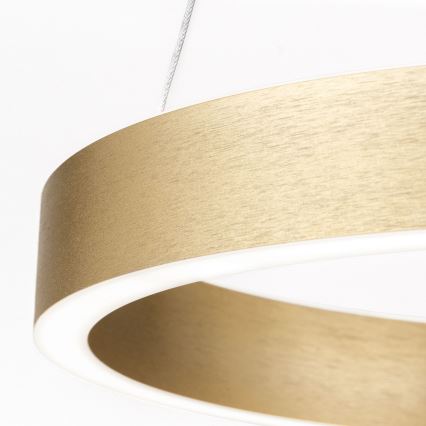 LED hämardatav kaabliga rippvalgusti KOLK LED/40W/230V 2700/3000/4000K läbimõõt 40 cm kuldne