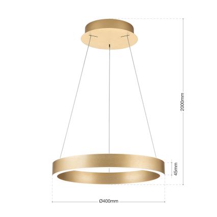 LED hämardatav kaabliga rippvalgusti KOLK LED/40W/230V 2700/3000/4000K läbimõõt 40 cm kuldne
